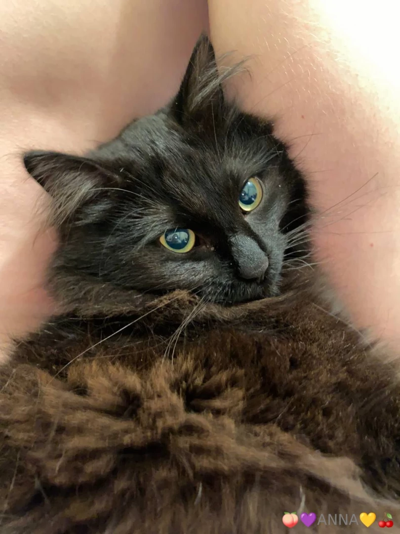 I m going crazy from these eyes 