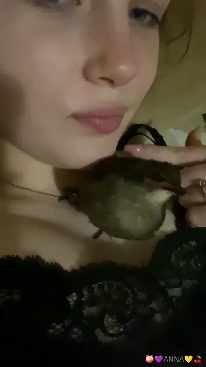 This is gratitude i love animals so much 