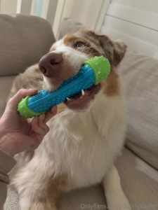 Wholesome feed break who else loves those simple joyful moments with