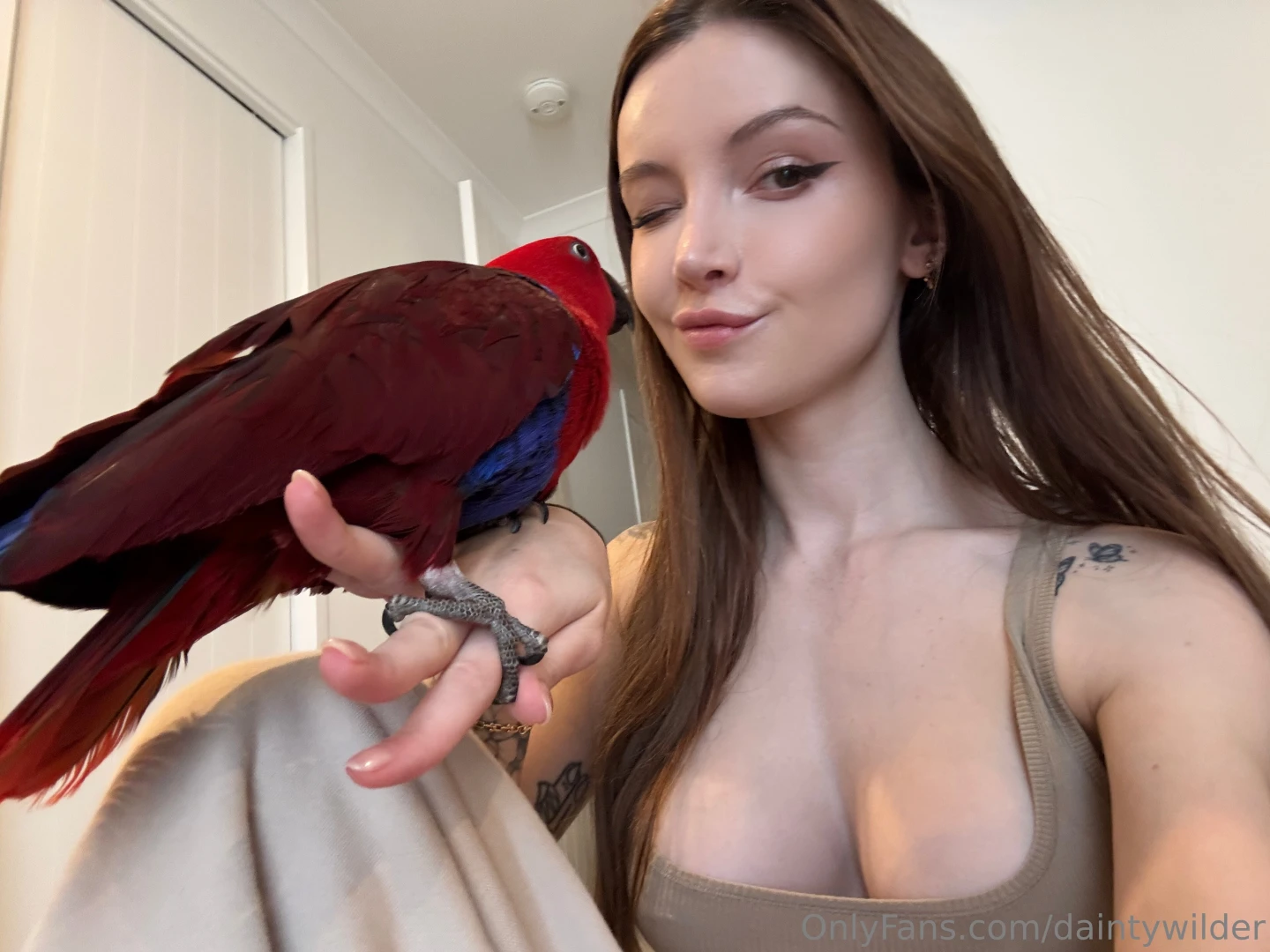 A little birdie told me i m absolutely irresistible do you agree 