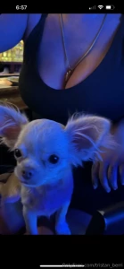 Tits and puppies