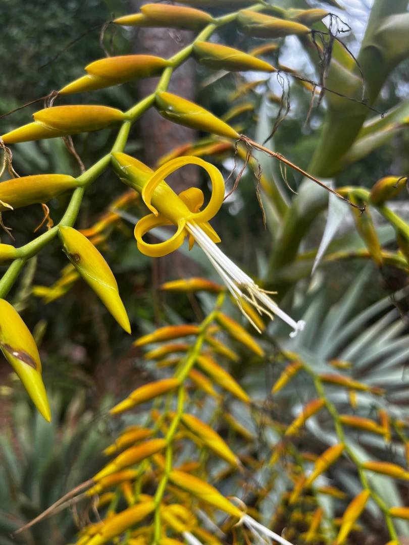 Some pics from yesterday at the garden part 4 