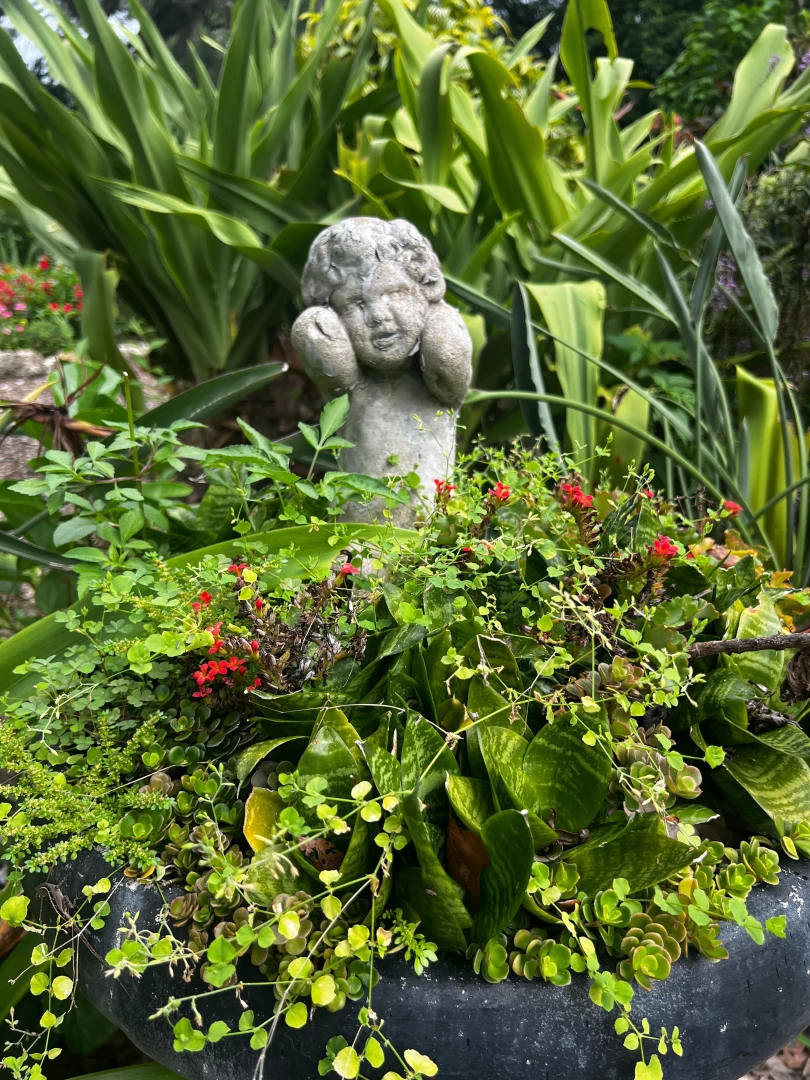 Some pics from yesterday at the garden part 2 