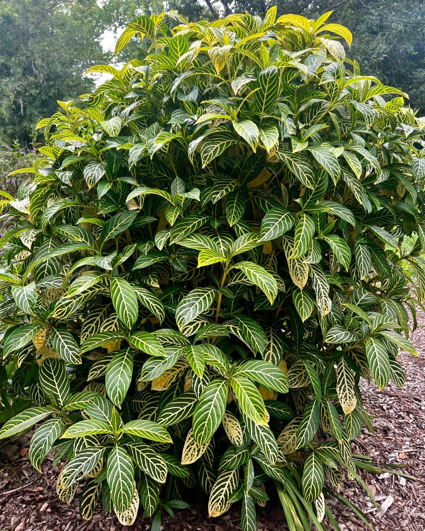 Some pics from yesterday at the garden part 3 