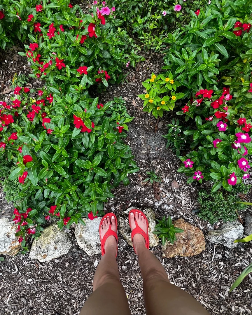 Some pics from yesterday at the garden part 5 