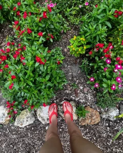 Some pics from yesterday at the garden part 5