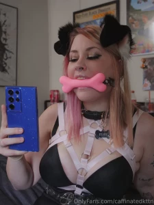 Puppy found her bonee part 2