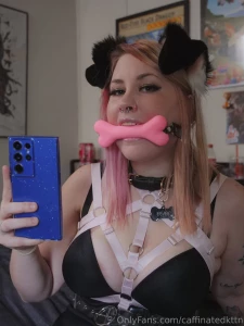 Puppy found her bonee part 1