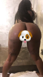 Everything ass bundle