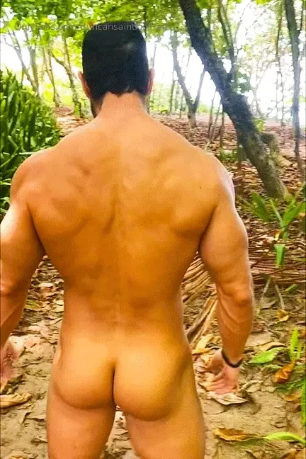 If you saw this in the forest what would you do 