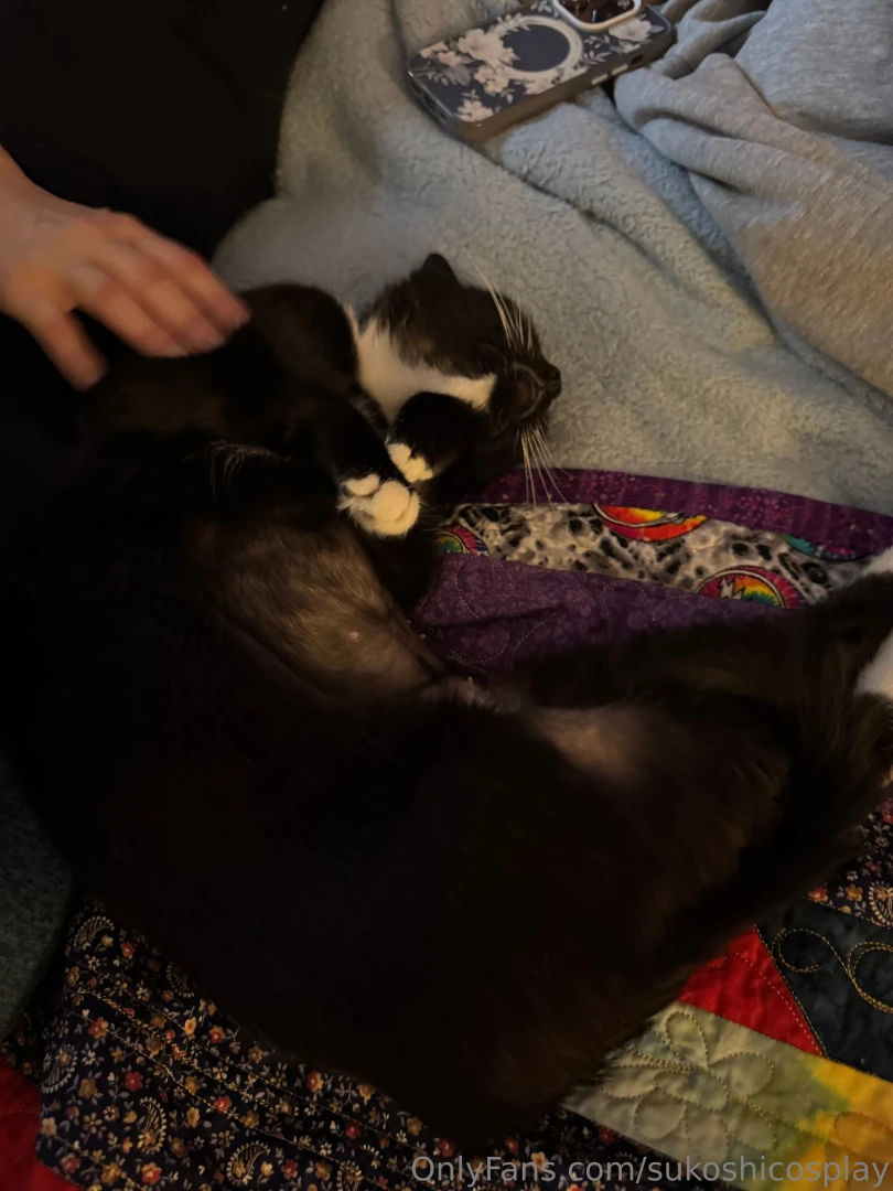 Dude i am going through it lately health wise but my roommates kitty part 2 