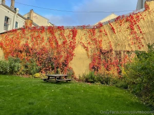 Have a good day part 224