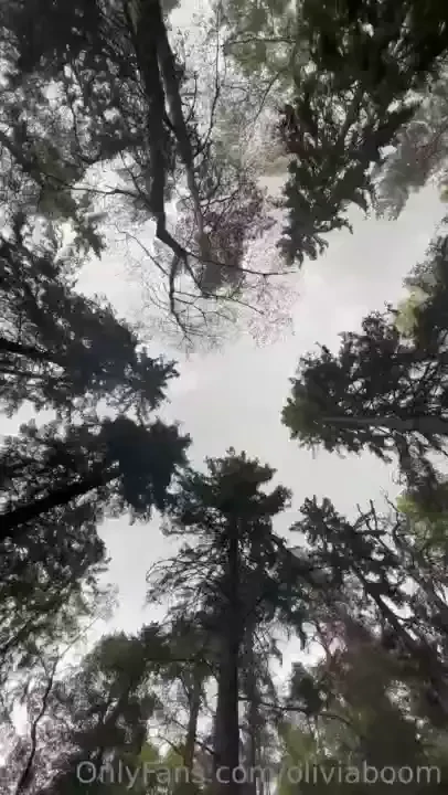 I love the sound of the forest so much part 3 