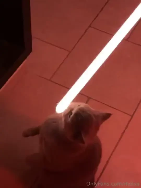 Gin joined the dark side 