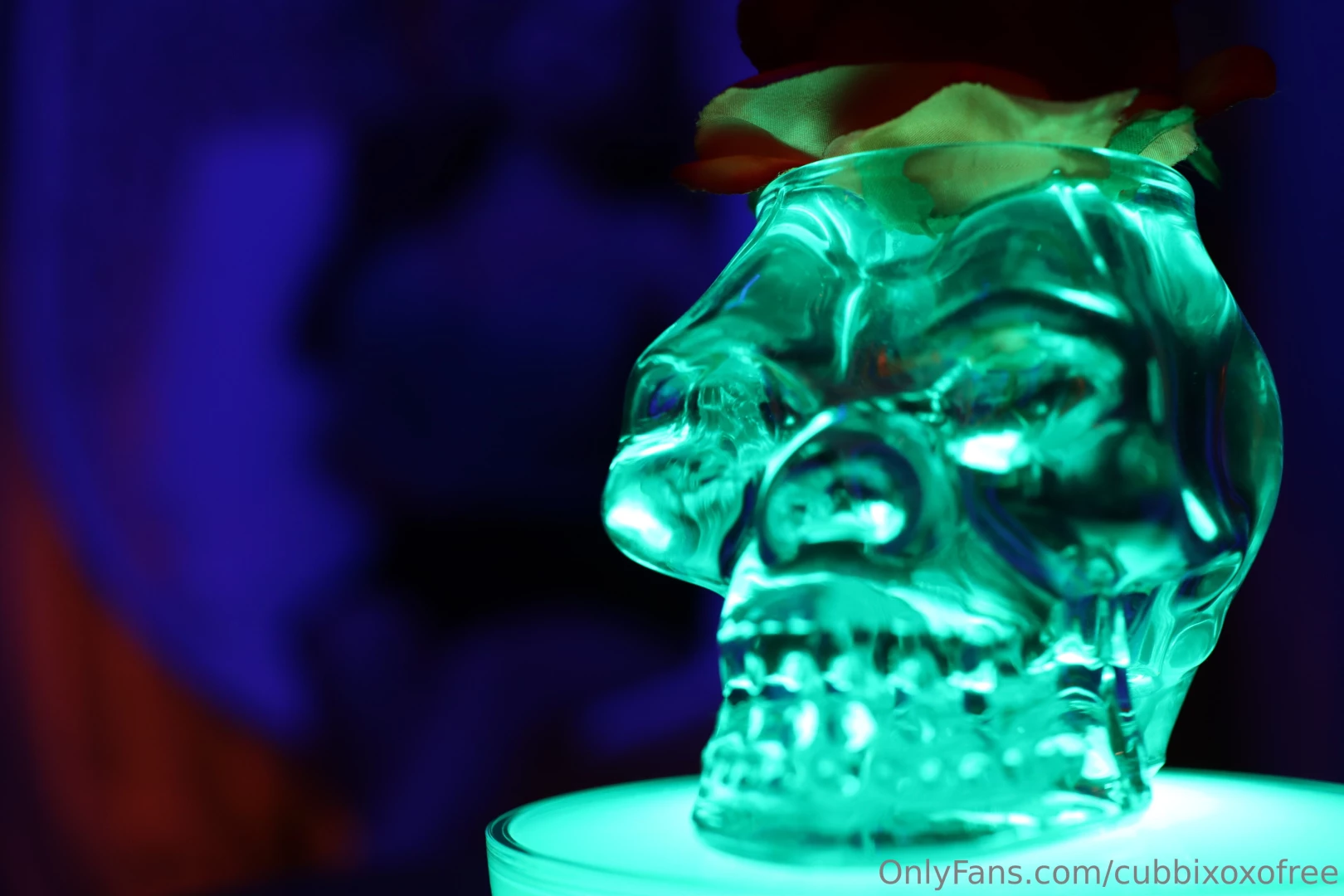 First cubtober live stream is happening on my vip page cubbixoxo in 2 