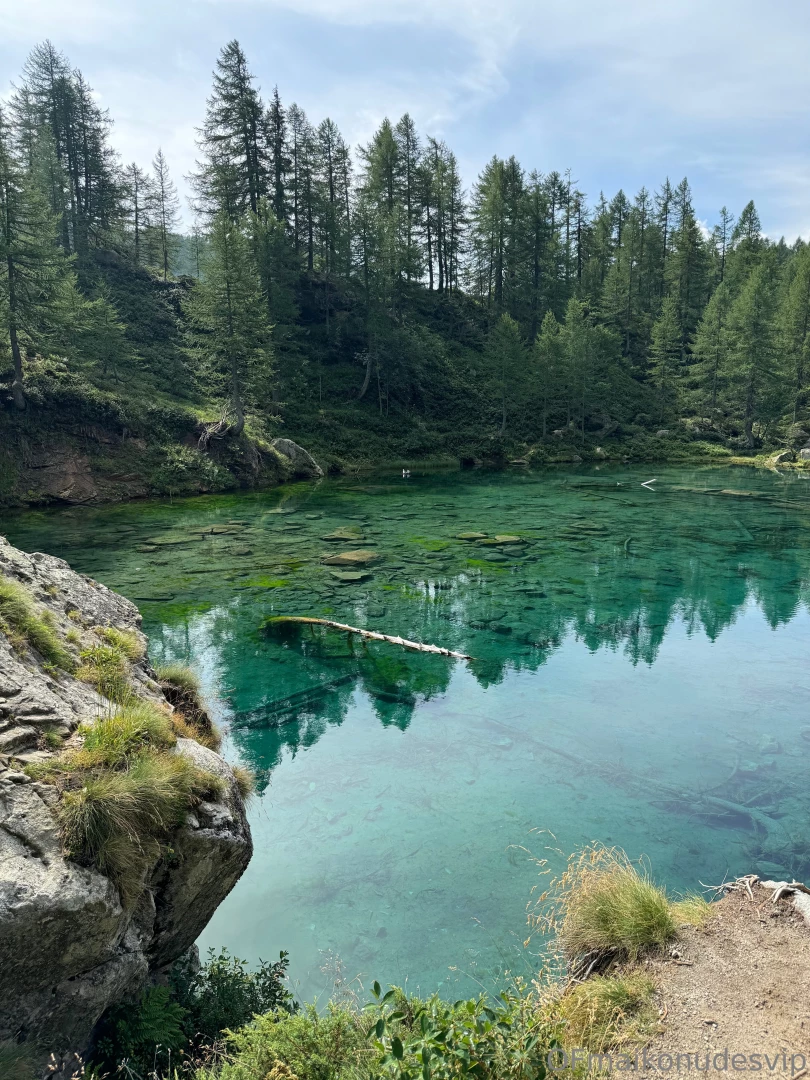 Back to the mountain 