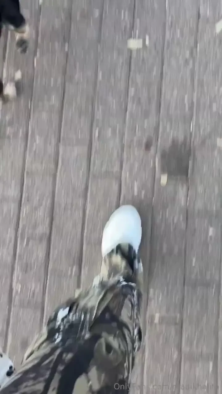 Morning walk part 10 