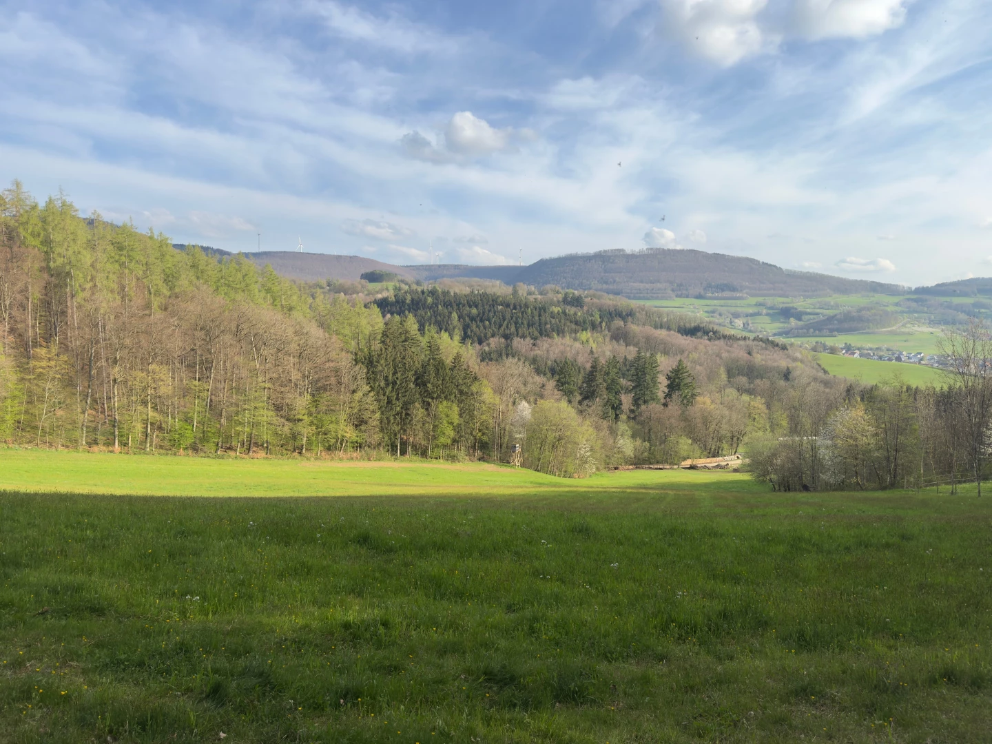 Hii how is everyone doing tonight i m visiting germany for a few weeks 