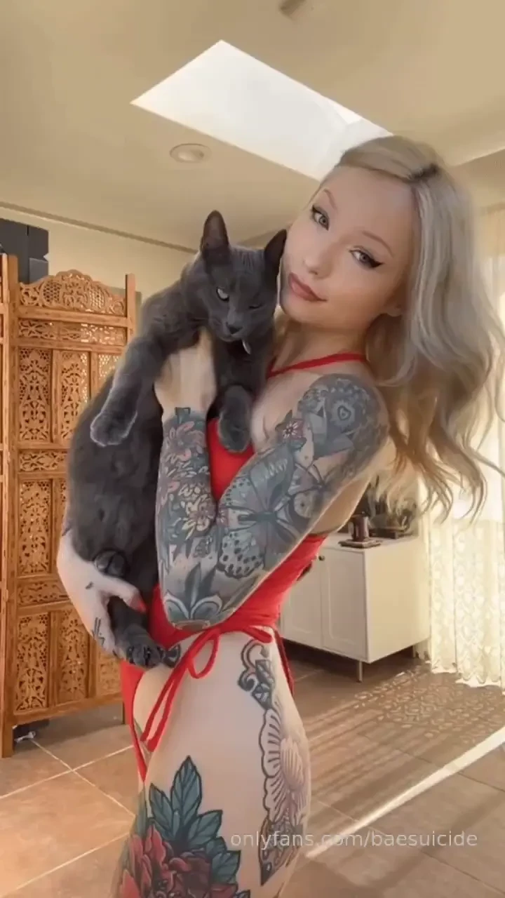 Have you met my dream man mr kitty 