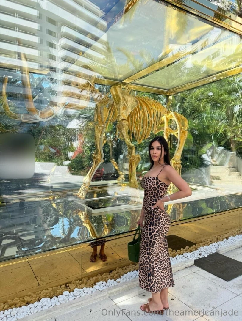 Theamericanjade part 1 