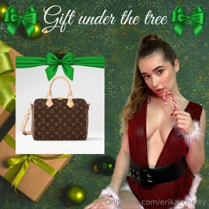 Christmas is near and i would so love to get this stylish handbag i ve