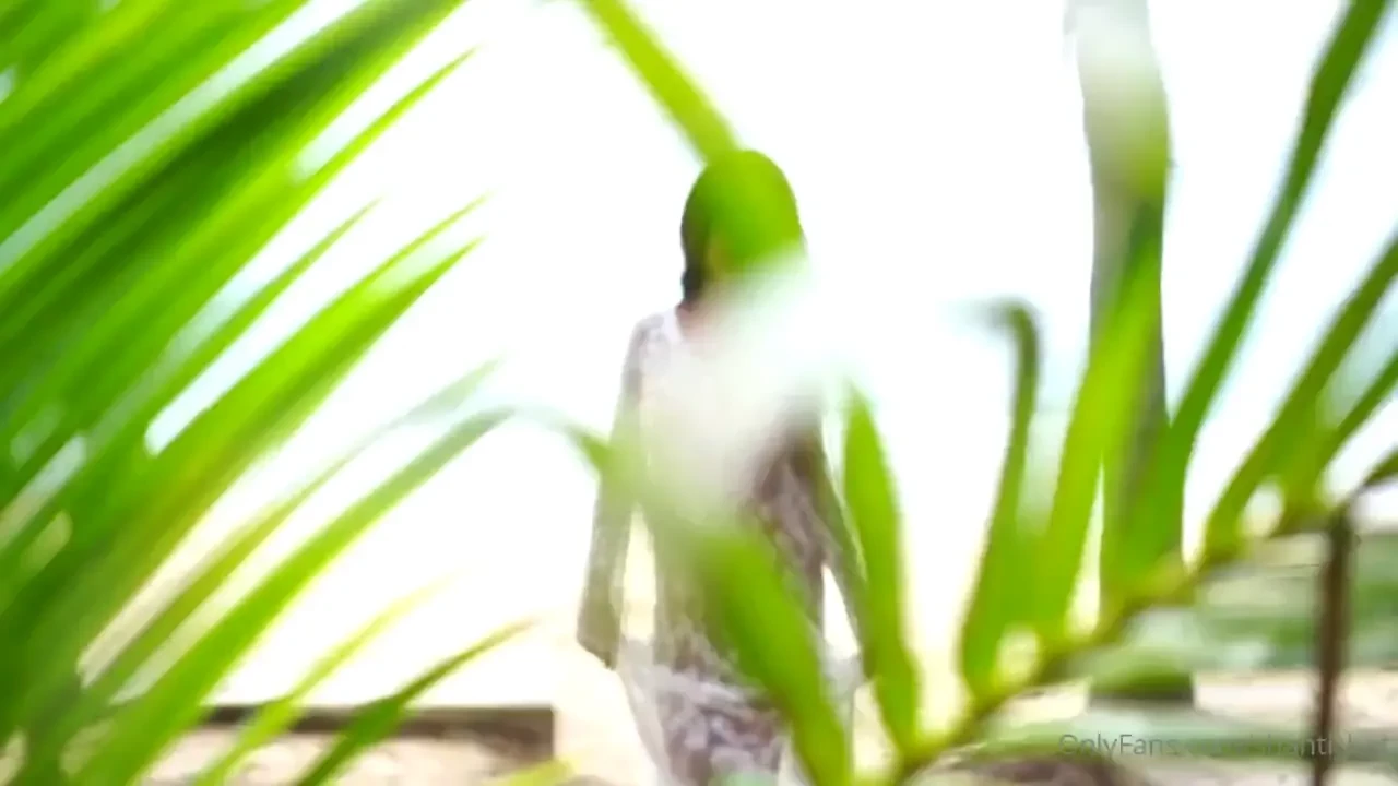 I am your tropical mirage 