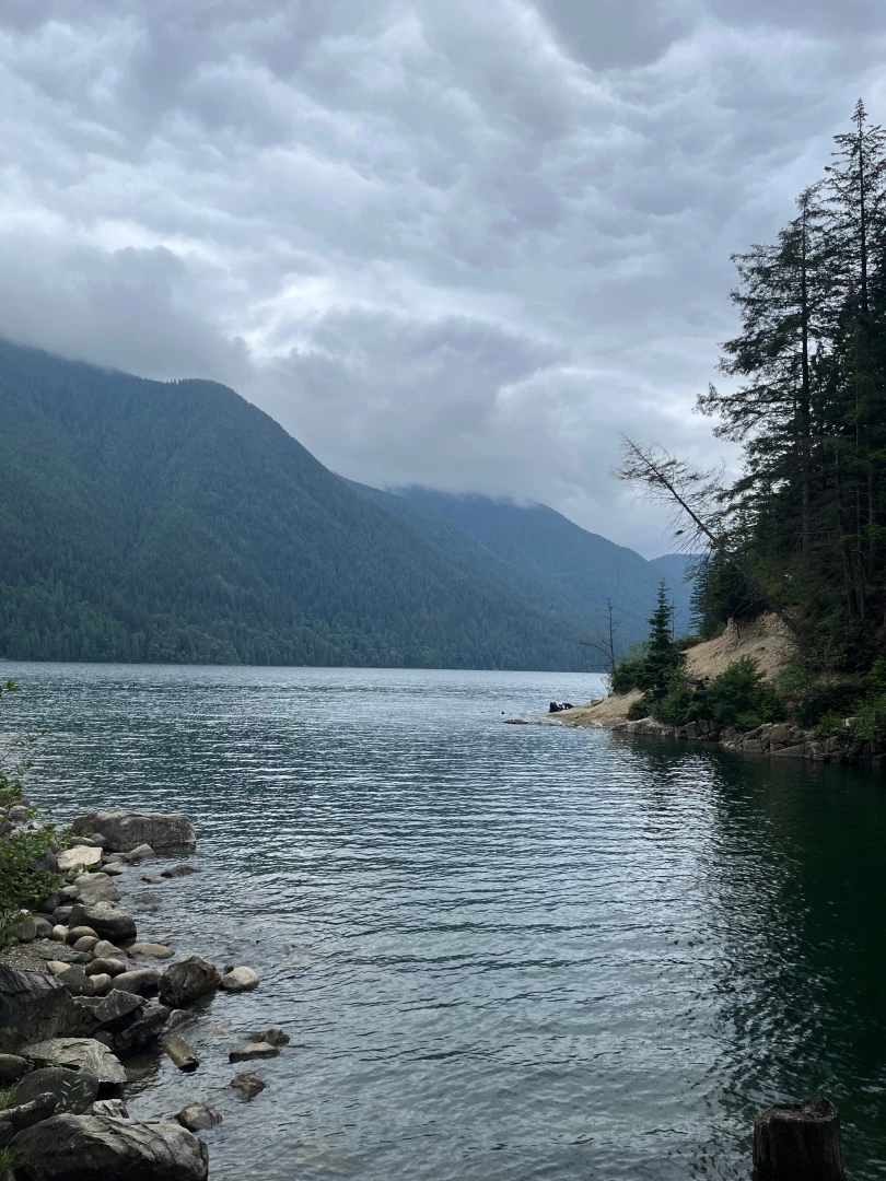 Nature slaps dude i wanna go back to the woods 