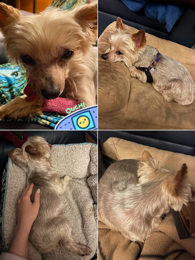 Hello shot some content at the beach a few days ago 3 been quiet since part 3 