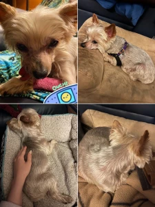 Hello shot some content at the beach a few days ago 3 been quiet since part 3