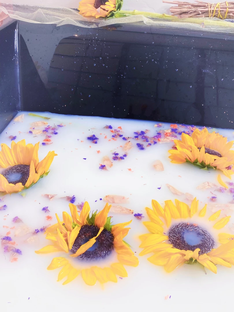 Happy turkey day part 12 