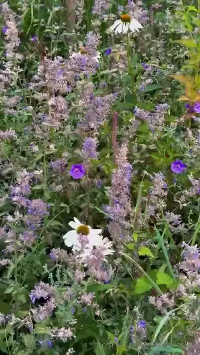 City me have had a nice weekend part 8 