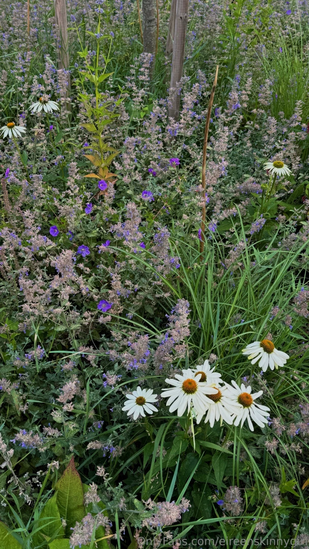 City me have had a nice weekend part 2 