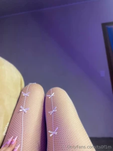 Leggieeees 3 they re totally soft do you want to try it with your paws