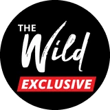 wildexclusivefree