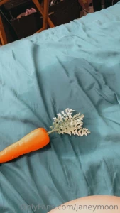 Wanna see what i did with this carrot last night