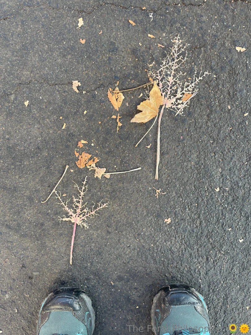 I m thinking about you tonite in 20 years you ll be an old man plumper 