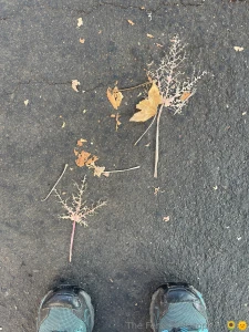 I m thinking about you tonite in 20 years you ll be an old man plumper