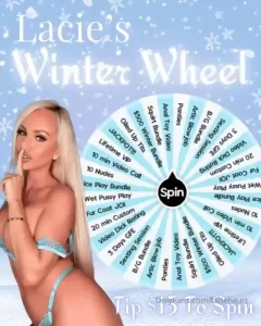 My wheel with my 15 for 1 spin 25 for 2 spins 35 for 3 spins 45 for 4