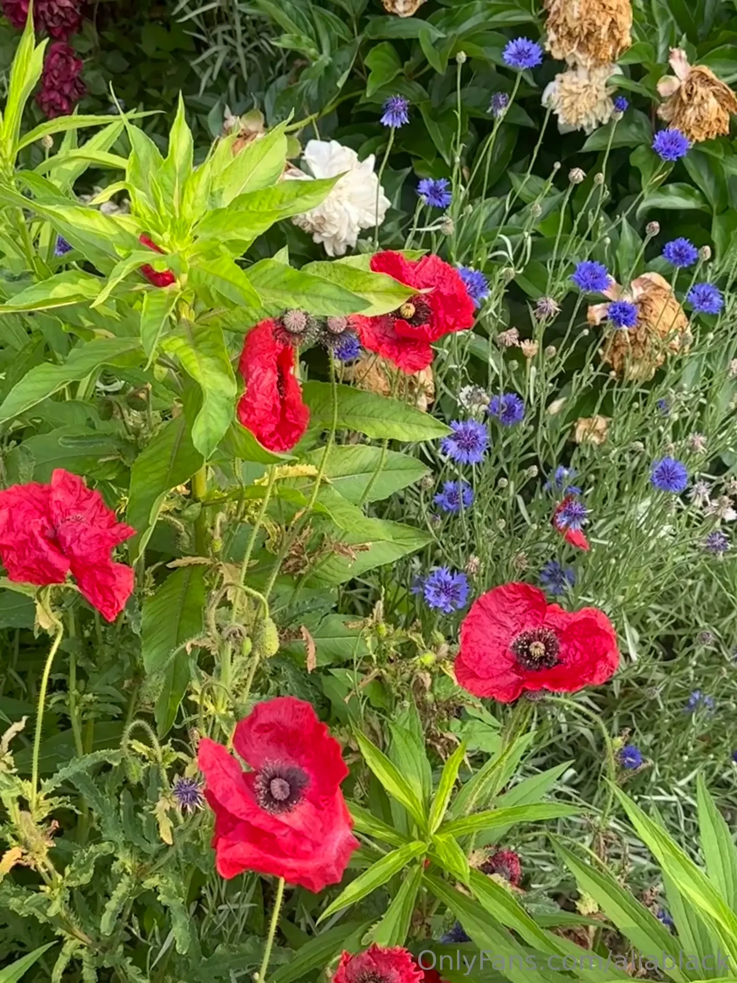 Had a fun day walking around the lower east side in new york the 