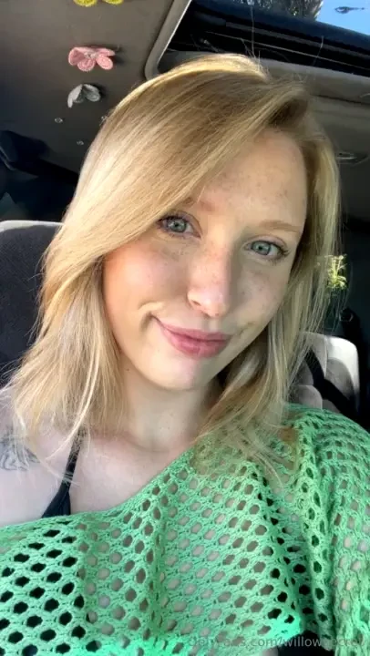 Willowsecret part 63701 