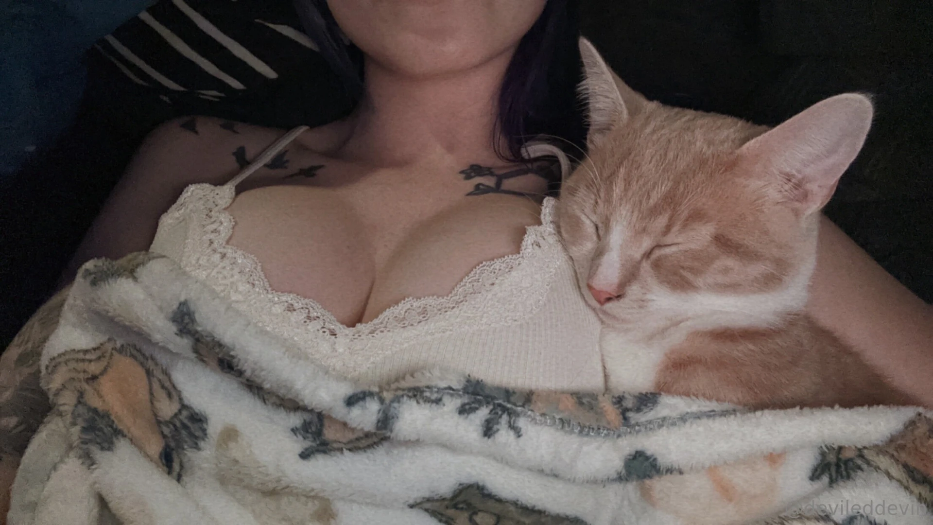 The coziest kitten part 1 