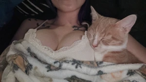 The coziest kitten part 1