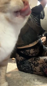 At least one of my cats always tried to sabotage my photos