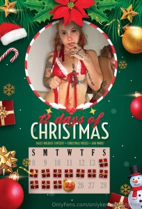 12 days 12 surprises 12 chances to see what i ve been hiding under the
