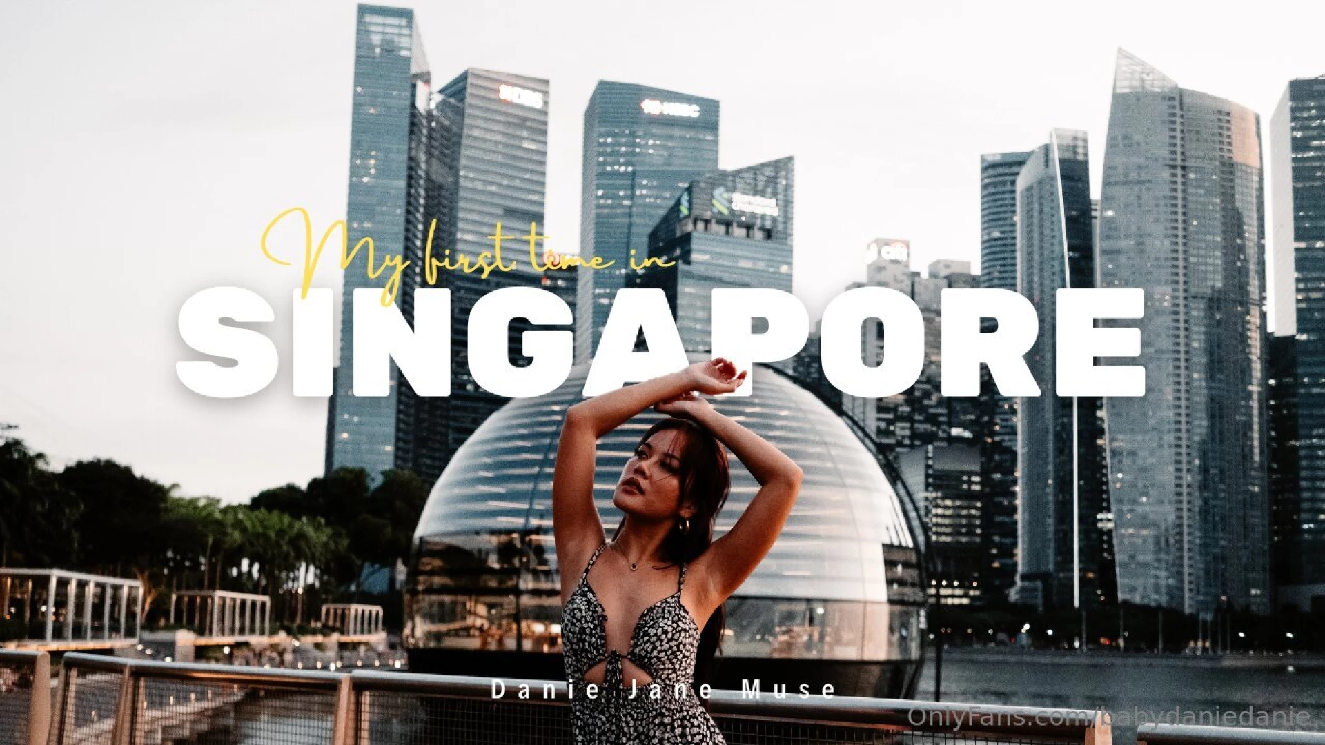 Singapore was my dream i wanted to go there so much i decided to 