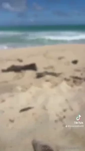 Beach and gloves
