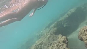 Snorkleing in hanauma bay and found a sea turtle