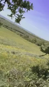 Here s a teaser for the video in your dms pov blowjob with a view
