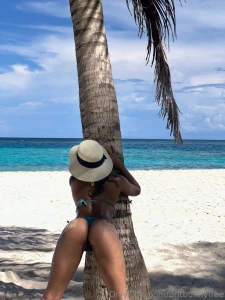 This view is a tropical delight