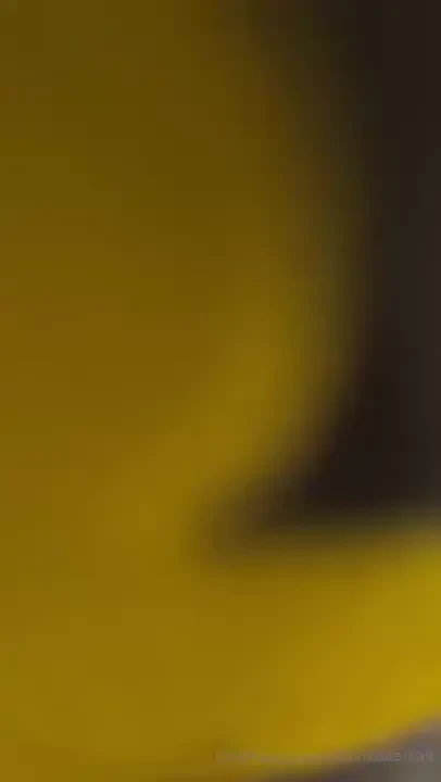 Splash house ready mycookiejar 